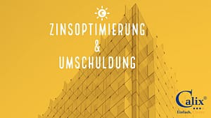 Zinsoptimierung