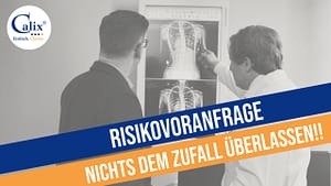 Risikovoranfrage