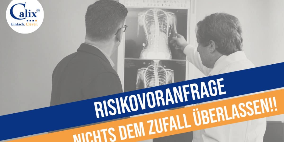 Risikovoranfrage